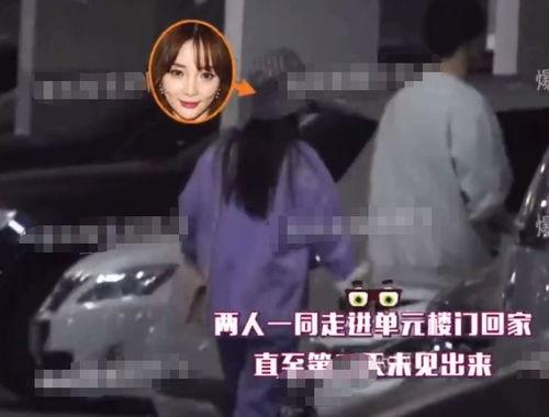 爆料神爽爷视频,揭秘娱乐圈不为人知的幕后真相  第2张