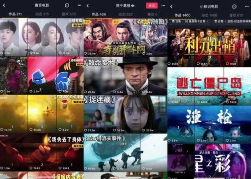 苏小玲抖音爆料视频在线观看,揭秘幕后真相，带你走进事件核心  第3张