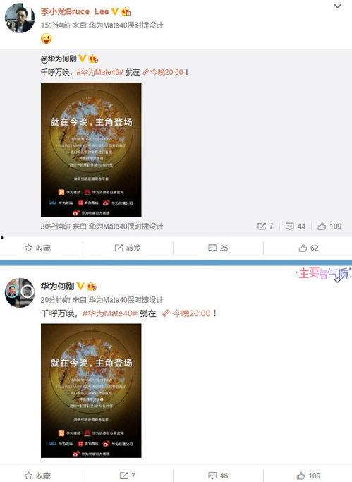 最新爆料出炉视频大全,揭秘热点事件背后的真相  第1张